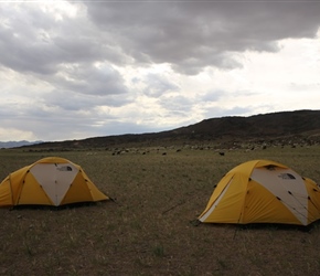 Our site for the night in the Gobi Desert