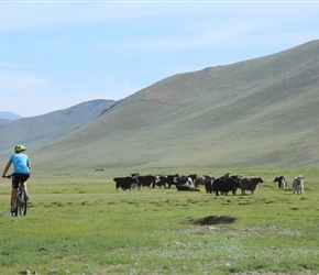 Muriel passes Yaks