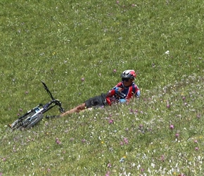 Our guide Tool relaxing in the meadow