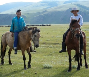 Local horsechildren