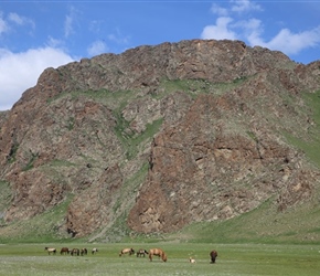 Green, purple and horses