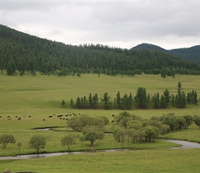 River View in Orkhon Valley