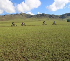 Horse skull and cyclists