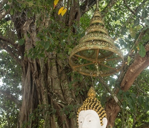 Buddha at morning stop