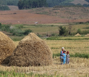 Children in Paddy Field