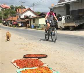 Sharon passes chillis drying in the sun, acommon sight