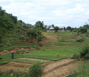 Plant nursery on slopes of hills