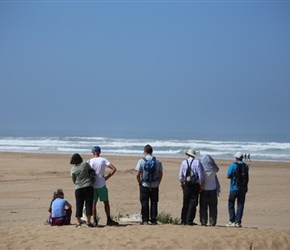 Group on beach