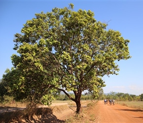 Along the Red Road