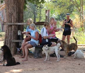 Dogs and Lunch at Tha Krabak lake