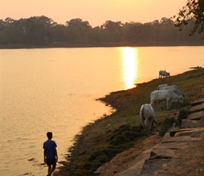 Sunset over lake at Siem Reap