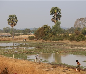 Water carrier near Siam Reap