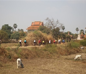 Group head home past temple