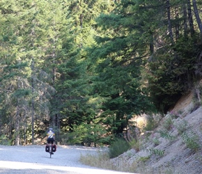 Descending down track near Shelton