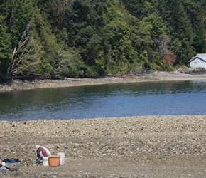 Oyster shellers