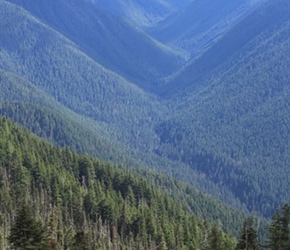 South from Hurricane Ridge