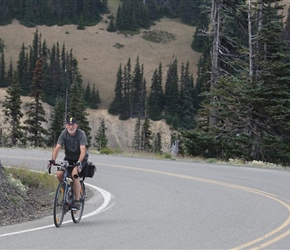 Barney on Hurricane Ridge Road