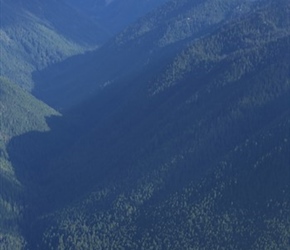 Neil on Hurricane Ridge