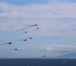 KItes over the sea