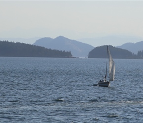 San Juan islands from ferry