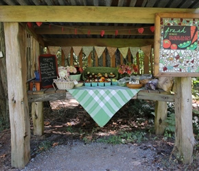 Roadside Vegetable store