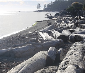 Beach in Sechelt