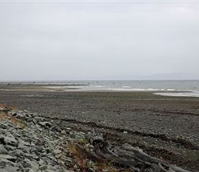 Comox Beach