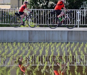 Stephen and Irene reflect in paddy fields