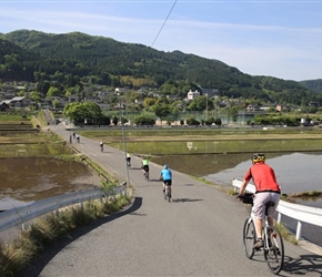 Across paddy fields at Yufuin