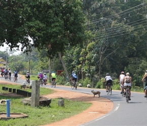 Around Anuradhapura