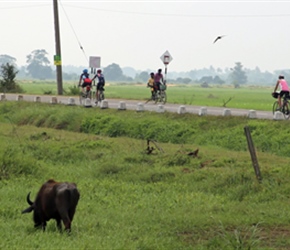 Group heads south