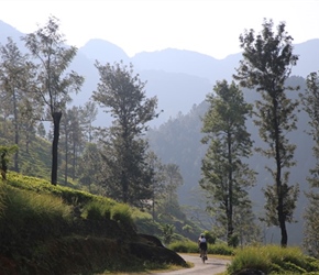 Christine Ratcliffe into the hills surrounded by tea plantations