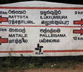 Tea Plantations sign, where are the estates?