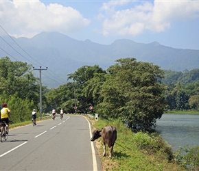 Heading South in Central Sri Lanka