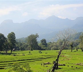 Across the mountains in central Sri Lanka