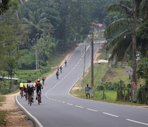 Group heading south