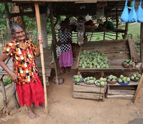 Fruit Sellers