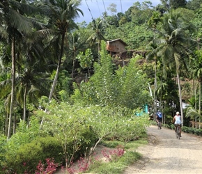 Chris Horton along Kelani Valley railway line