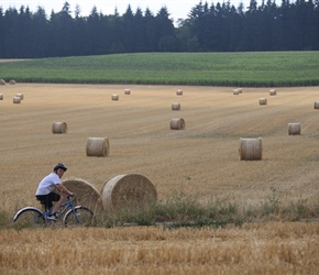 Peter passes Straw bales near Assesse