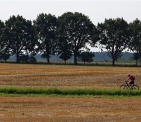 Through cornfields near Proitze