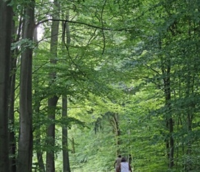 Jo and James through wood