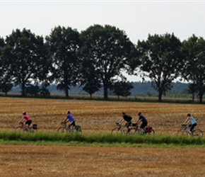 Through cornfields near Proitze