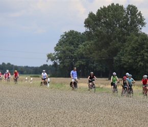 Group through corn fields