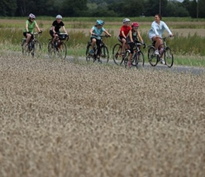 Through corn fields