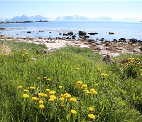 Coastal view near Anstad