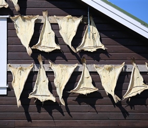 Dried fish on Langoya