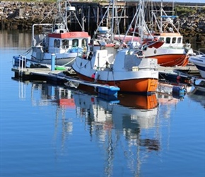 Dverberg harbour