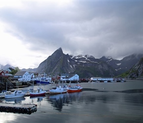 Reine