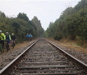 Along tracks at Puerto Varas