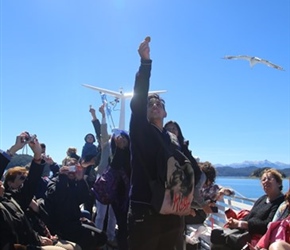 Feeding seagulls from the ferry, this seemed like a 'thing to do' on this boat